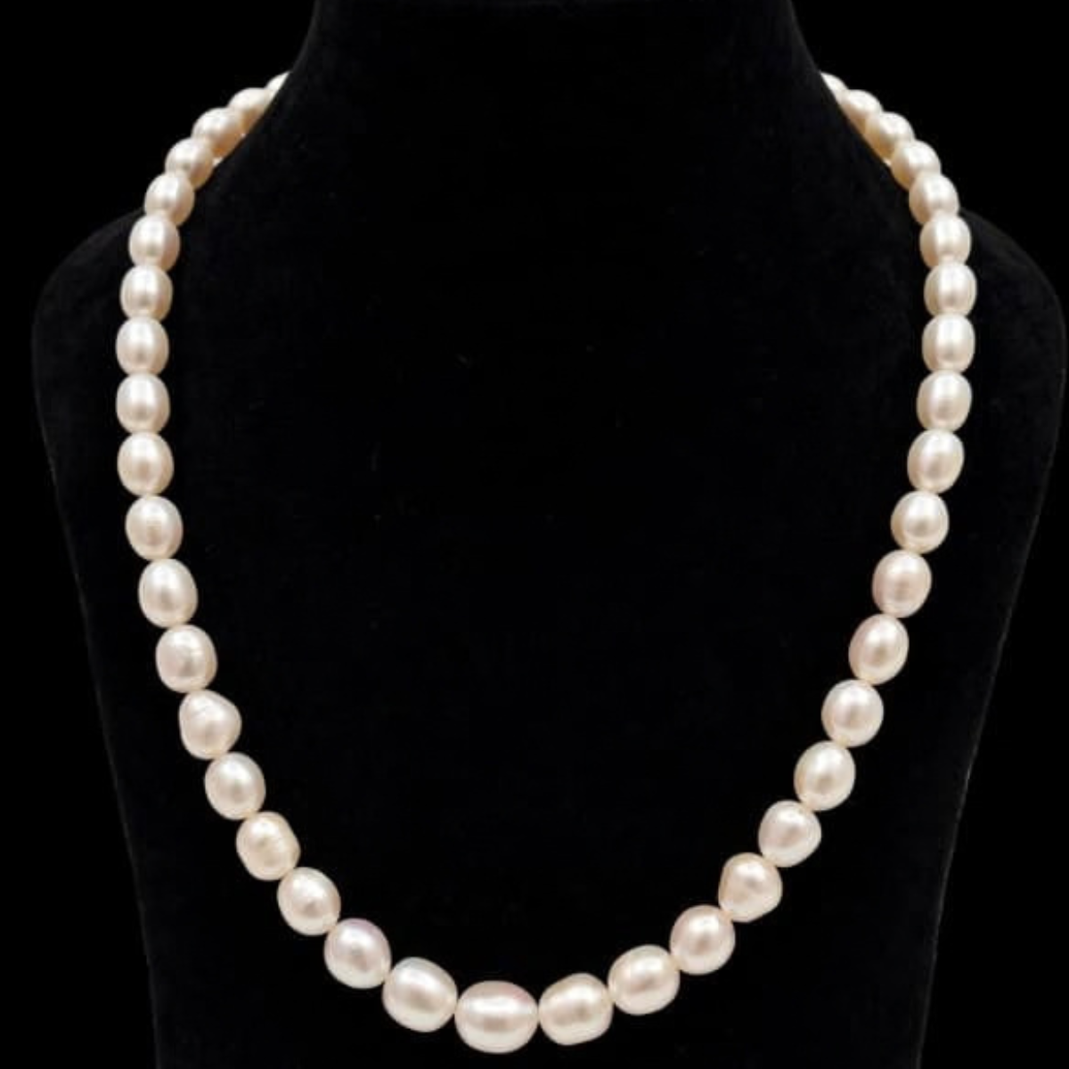 Hyderabad Freshwater Pearl